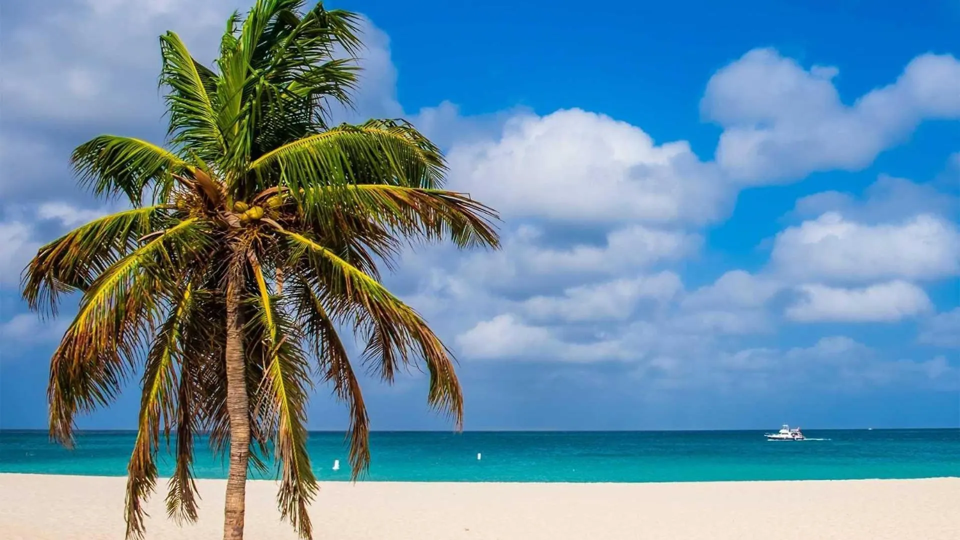 Beachfront - Glamour View 3Br Condo - E422 شاطئ بالم أروبا
