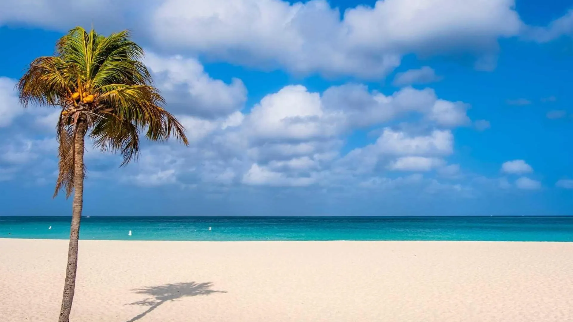 Beachfront - Glamour View 3Br Condo - E422 شاطئ بالم 0*,  أروبا