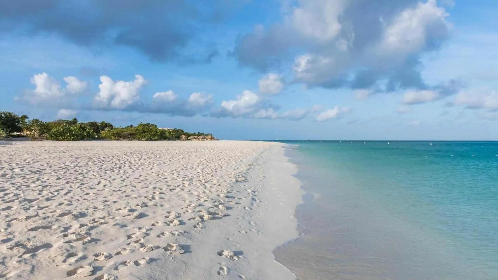 Beachfront - Glamour View 3Br Condo - E422 شاطئ بالم 0*,